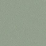 グリーン 塗り壁調  防かび 抗菌 撥水  サンゲツ FE78306