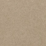 ブラウン 無地  防かび 抗菌  サンゲツ FE78361 旧品番FE76140