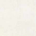 ライトグレー 塗り壁調  防かび  サンゲツ FE78366 