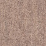 ブラウン 塗り壁調  防かび 抗菌 撥水  サンゲツ FE78375 旧品番FE76133