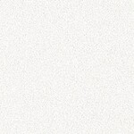 ホワイト 塗り壁調  防かび 抗菌  サンゲツ FE78381 旧品番FE76143