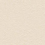 ベージュ 塗り壁調  防かび 抗菌 表面強化 撥水 消臭  サンゲツ FE78410 旧品番FE76238