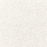 アイボリー 塗り壁調  防かび 抗菌 表面強化 撥水 消臭  サンゲツ FE78426 旧品番FE76250