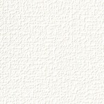 ホワイト 塗り壁調  防かび  サンゲツ FE78498 旧品番FE76488