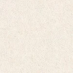 ベージュ 塗り壁調  防かび 抗菌 吸放湿   サンゲツ FE78579 