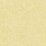 イエロー 塗り壁調  防かび 抗菌 吸放湿   サンゲツ FE78586 