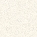 シャドーホワイト 塗り壁調  通気性 防かび 抗菌  サンゲツ FE78603 