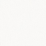 ホワイト 塗り壁調  防かび 抗菌  サンゲツ FE78610 