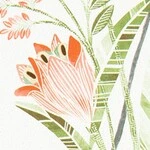 ピンク フラワー  防かび 抗菌 撥水  サンゲツ FE78621 