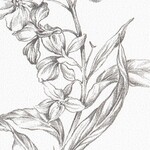 グレー フラワー  防かび 抗菌 撥水  サンゲツ FE78623 