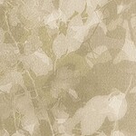 グレー フラワー  防かび 抗菌  サンゲツ FE78767 