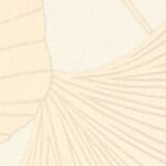 アイボリー フラワー  防かび  サンゲツ FE78769 