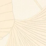 アイボリー フラワー  防かび  サンゲツ FE78769 