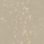 ブラウン 抽象デザイン  防かび  サンゲツ FE78779 