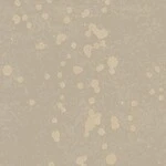 ブラウン 抽象デザイン  防かび  サンゲツ FE78779 