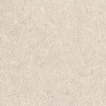ベージュ 抽象デザイン ウレタンコート 表面強化 防かび  サンゲツ FE78782 旧品番FE76520