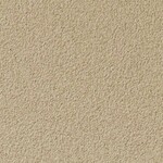 グリーン 塗り壁調  防かび  サンゲツ FE78790 旧品番FE76535