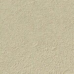 グリーン 塗り壁調  防かび  サンゲツ FE78792 旧品番FE76526