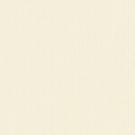 ライトアイボリー  塗り壁調 トップコート  防かび  リリカラ LL-6034 