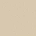 ベージュ  塗り壁調 トップコート  防かび  リリカラ LL-6035 