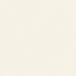 シャドーホワイト  塗り壁調 トップコート  防かび  リリカラ LL-6037 旧品番LL-7718