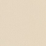 ベージュ  塗り壁調 トップコート  防かび  リリカラ LL-6261 旧品番LL-7400