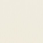 アイボリー  無地 トップコート  防かび 抗菌  リリカラ LL-6302 