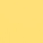 イエロー  無地 トップコート  防かび 抗菌  リリカラ LL-6303 