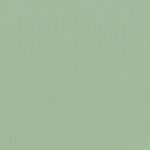 グリーン  無地 トップコート  防かび 抗菌  リリカラ LL-6307 