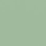 グリーン  無地 トップコート  防かび 抗菌  リリカラ LL-6307 