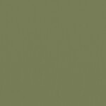 グリーン  無地 トップコート  防かび 抗菌  リリカラ LL-6308 