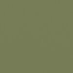 グリーン  無地 トップコート  防かび 抗菌  リリカラ LL-6308 