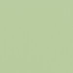 グリーン  無地 トップコート  防かび 抗菌  リリカラ LL-6311 