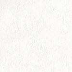 ホワイト  塗り壁調 トップコート  防かび  リリカラ LL-6325 旧品番LL-7033