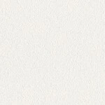 ホワイト  塗り壁調 トップコート  抗菌 表面強化 防かび  リリカラ LL-6349 