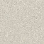 ライトグレー  塗り壁調 トップコート  抗菌 表面強化 防かび  リリカラ LL-6350 