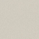 ライトグレー  塗り壁調 トップコート  抗菌 表面強化 防かび  リリカラ LL-6350 