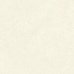 ホワイト  塗り壁調   防かび 抗菌  リリカラ LL-6353 