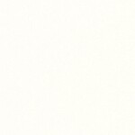 ホワイト  塗り壁調 トップコート  防かび  リリカラ LL-6357 旧品番LL-7710