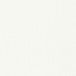 シャドーホワイト  塗り壁調 トップコート  防かび  リリカラ LL-6358 旧品番LL-7712