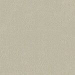 ライトグレー  塗り壁調   防かび  リリカラ LL-6391 