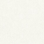 ホワイト  塗り壁調   防かび  リリカラ LL-6419 