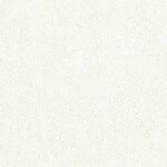 ホワイト  塗り壁調   防かび  リリカラ LL-6419 