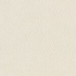 ライトグレー  塗り壁調   防かび  リリカラ LL-6432 