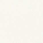 シャドーホワイト  織物調   表面強化 防かび  リリカラ LL-6526 