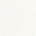 ホワイト  塗り壁調   防かび  リリカラ LL-6534 旧品番LL-7036