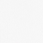 ホワイト  塗り壁調 トップコート  防かび  リリカラ LL-6550 旧品番LL-7679