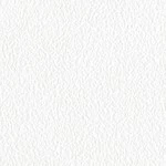 ホワイト  塗り壁調 トップコート  防かび  リリカラ LL-6551 旧品番LL-7681