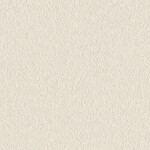 シャドーホワイト  塗り壁調 トップコート  抗菌 表面強化 防かび  リリカラ LL-6559 