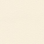 ベージュ  塗り壁調 トップコート  抗菌 表面強化 防かび  リリカラ LL-6560 旧品番LL-7666